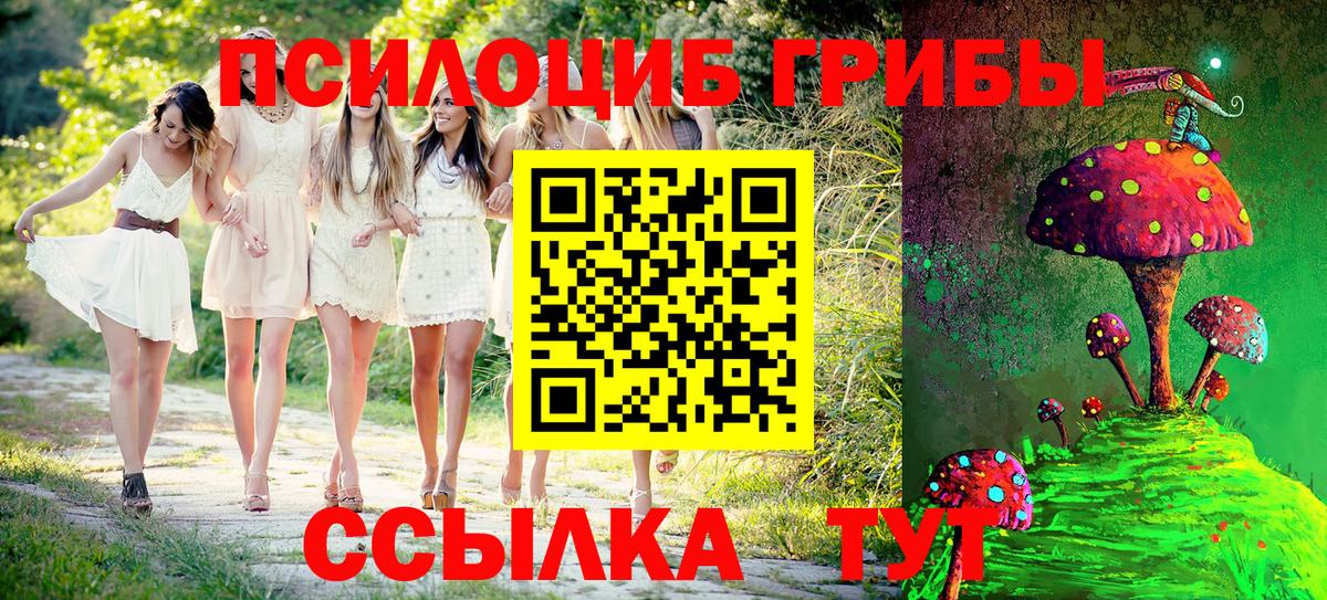 Псилоцибиновые грибы Magic Shrooms  Вход с VPN  Заводоуковск  Галлюциногенные грибы прущие грибы 